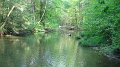 Manada Senic1